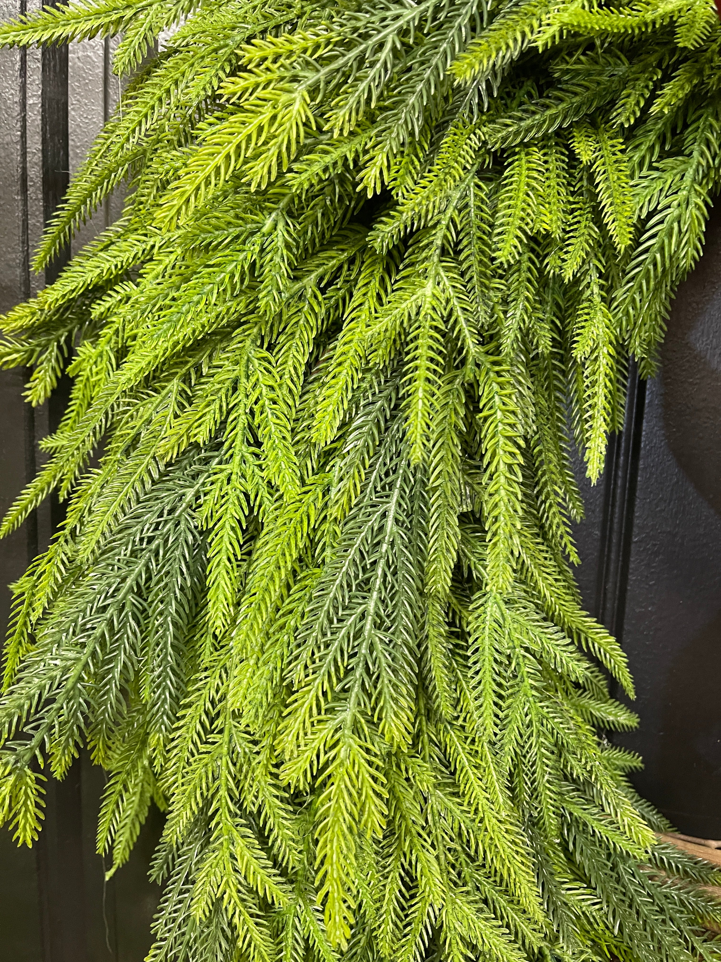 Norfolk Pine Evergreen Wreath, Christmas Grapevine Greenery with Burgundy Bow, KatsCreationsNMore