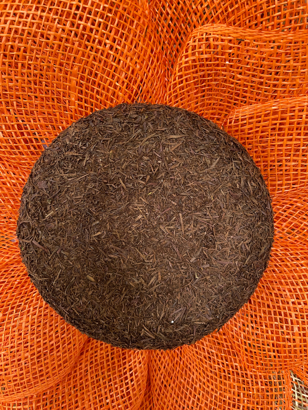 Close Up of the Brown Center of the Sunflower Wreath with orange petals surrounding it. 